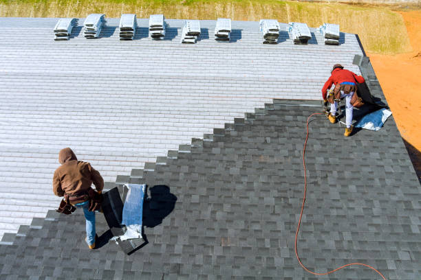 Best Storm Damage Roof Repair  in Carrizo Hill, TX