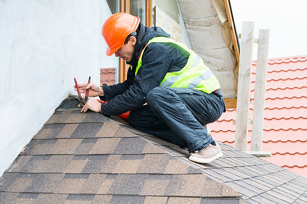 Best Storm Damage Roof Repair  in Carrizo Hill, TX