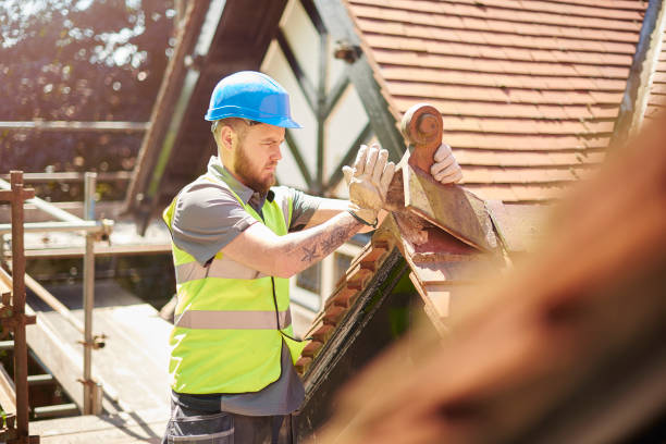 Quick and Trustworthy Emergency Roof Repair Services in Carrizo Hill, TX