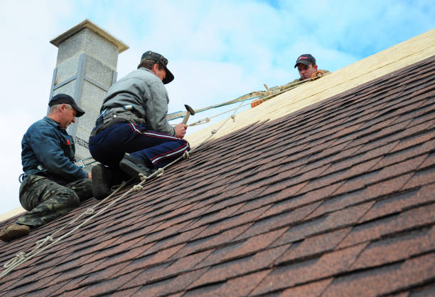 Best Roof Maintenance Services  in Carrizo Hill, TX