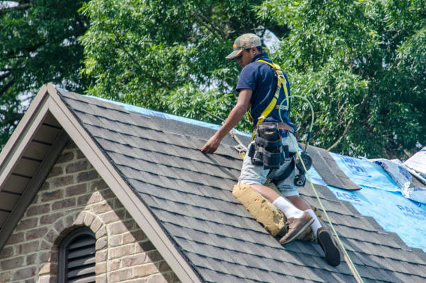 Best Roof Gutter Cleaning  in Carrizo Hill, TX